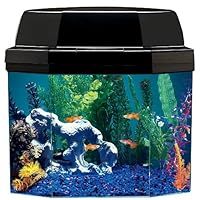 Aquarius AQ15002 Semi-hexagon 5-Gallon Aquarium with Hood and CFL lighting and Mini Might Internal Filter