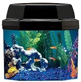 61282ImBgrL. SL160  Aquarius AQ15002 Semi hexagon 5 Gallon Aquarium with Hood and CFL lighting and Mini Might Internal Filter