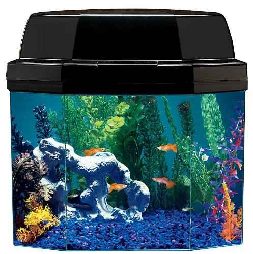 37 gallon aquarium hood