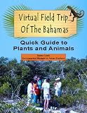 Virtual Field Trip of The Bahamas - A Quick Guide to Plants and Animals