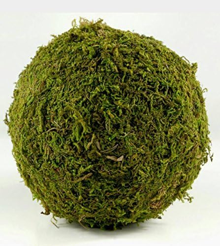 6" Decorative Moss ball, green moss ball, large moss ball