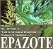 200 HERBAL EPAZOTE MEXICAN CULINARY HERB SEEDS Dysphania ambrosioides BEAN DISH