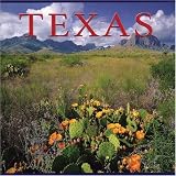 Texas (America Series)