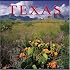 Texas (America Series)