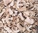 Champignon (White Button Mushrooms) 8 oz.