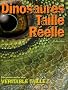 Dinosaures taille r�elle