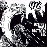 Destroy What Destroys You
