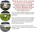 Search : The Fantastic Make An Extra Income, Inner Game and Biz Networking for Window Boxes Web Businesses 3 CD Power Pack