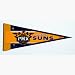 NBA Phoenix Suns Set of 3 Mini Pennants **