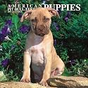 American Pit Bull Terrier Puppies 2007 Calendar