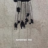 Anklicken zum Vergrößeren: Synapscape - Now (Audio CD)