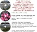 The Guerilla Marketing, Building Effective Lead Capture Web Pages, Sales Letters for ...