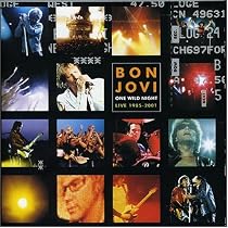 One Wild Night - Live 1985-2001