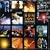 One Wild Night - Live 1985-2001