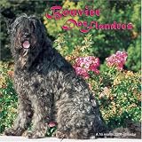 Bouviers 2008 Wall Calendar