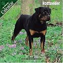 Rottweiler 2007 Wall Calendar