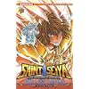 Saint Seiya - The Lost Canvas, Tome 15 :