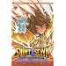Saint Seiya - The Lost Canvas, Tome 15 :