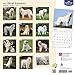 Great Pyrenees 2017 Calendar
