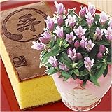 xăSˁIhV̓MtgǂisNjG{{܁uG{Ăvy͂919ȍ~ɂȂ܂z