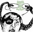 Gogol Bordello Vs Tamir Muskat [Us Import]