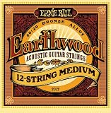 Ernie Ball 2012 Earthwood 80/20 Bronze Acoustic String Set, 12 String Med. (11 - 52)