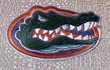 NCAA Florida Gators Big Face Embroidered Basketball PATCH