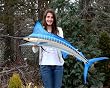 Giant Taxidermy Quality Blue Marlin Fish 58" Wall Mount