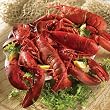 Lobster Gram JTL2Q JUST THE LOBSTERS WITH 1.25 LB LOBSTERS