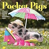 Pocket Pigs Wall Calendar 2016: The Famous Teacup Pigs of Pennywell Farm