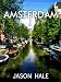 Books : Amsterdam, Netherlands: A Concise Travel Guide