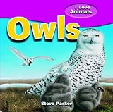 Owls (I Love Animals)