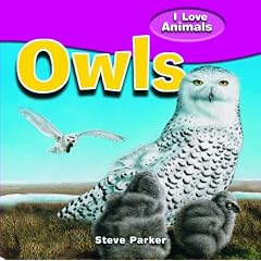Owls