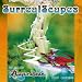 SurrealScapes 2010 Wall Calendar (Calendar)