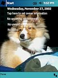 Shetland Sheepdog Theme