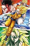 タペストリー ドラゴンボールＺ（Ａ）