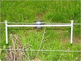 Deer Fence: Tightner Tool