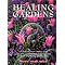 Plants and Gardens as Spiritual Practice