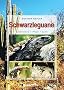 Schwarzleguane: Lebensweise - Pflege - Zucht
