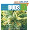 The Big Book of Buds: v. 2: More Marijuana Varieties from the World's Greatest Seed Breeders: Marijuana Varieties from the World's Great Seed Breeders