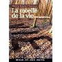 La Mo�lle de la vie : 500 Aphorismes