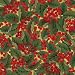 Caspari Christmas Berries 9-Foot Christmas Wrapping Paper Roll