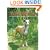 Italian Greyhounds Today (Book of the Breed S)