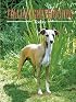 Italian Greyhounds Today (Book of the Breed)