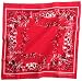 (ジャーナルスタンダード)JOURNAL STANDARD ORIGINAL OLD BANDANAS 11090400840010