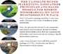 The Ultimate Super Marketing, Godfather Principles and Sales Models for Sports Memorabilia On-line Businesses 3 CD Pack