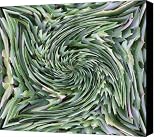 Leaves On Spin Cycle Canvas Print / Canvas Art   Artist Tim Allen