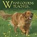 What Goldens Teach Us: Life's Lessons Learned From Golden Retrievers