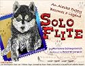 SoloFlite