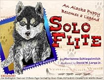 SoloFlite
